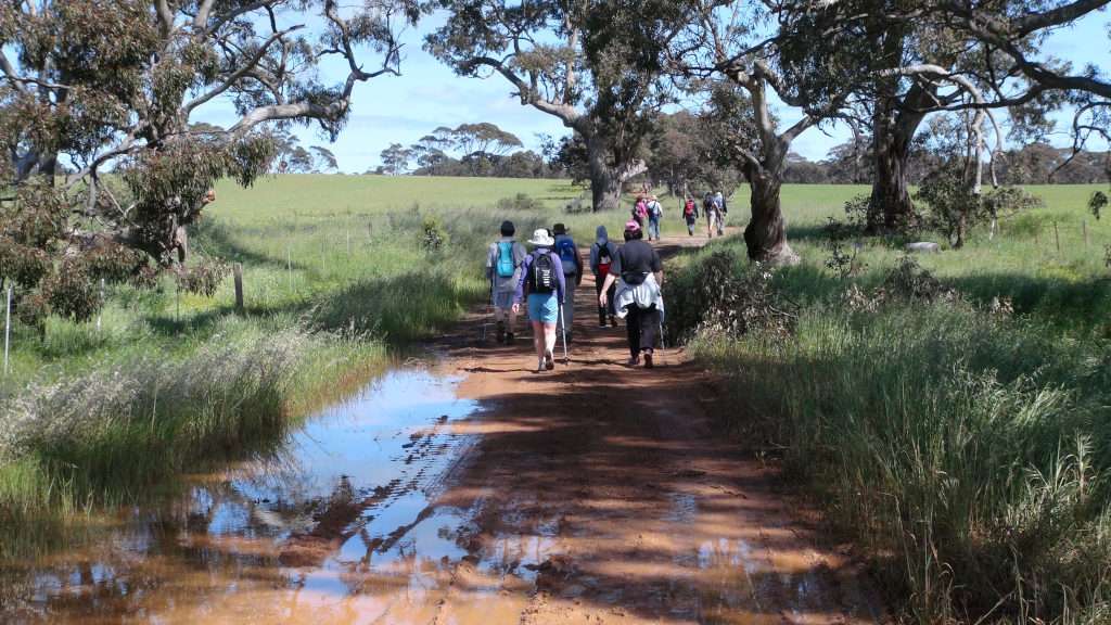 Waterloo to Manoora walk on opening of new trail section - photo by Peter Herriman