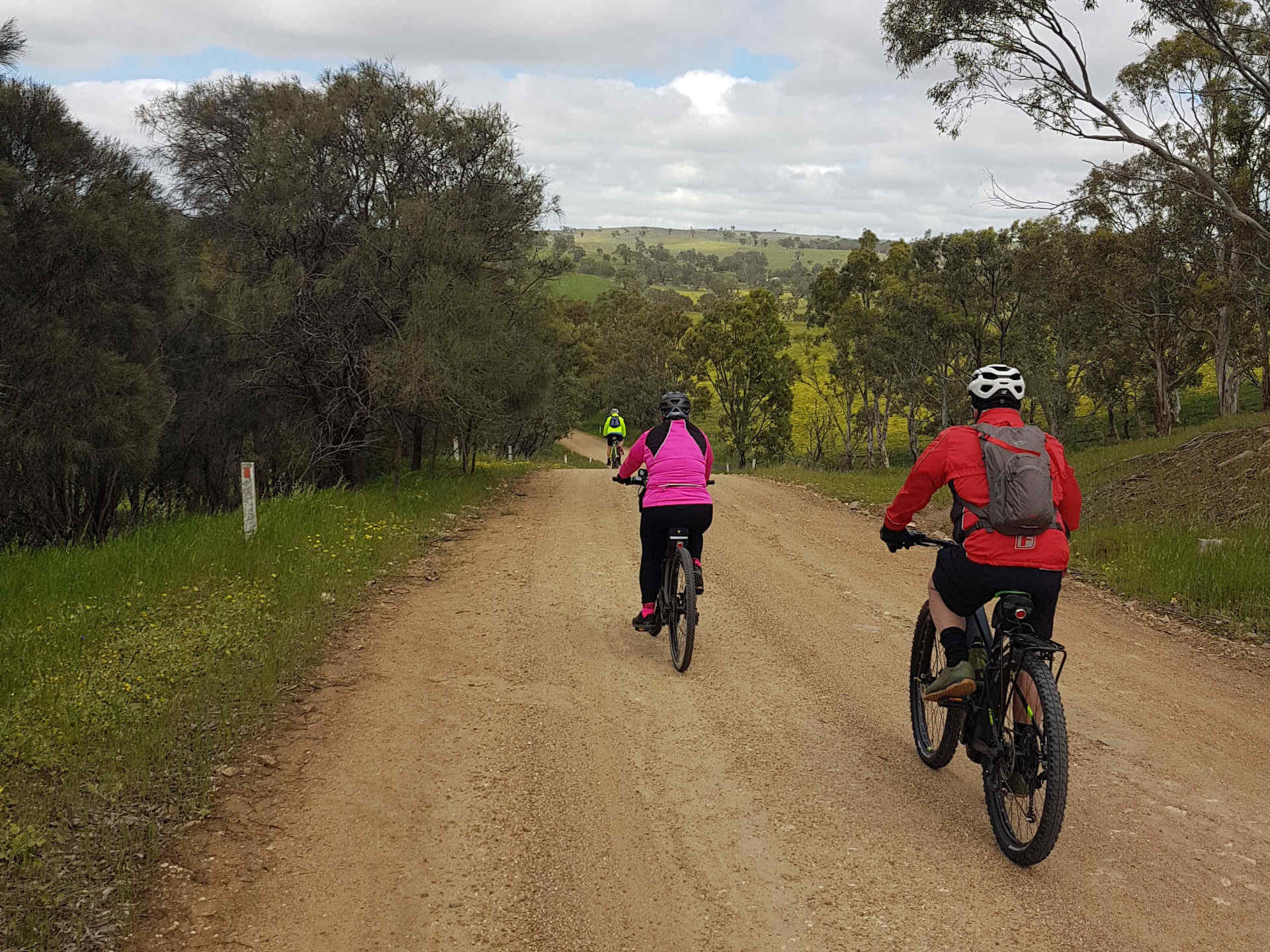 Collins Road, Tungkillo, part of the Lavender Cycling Trail