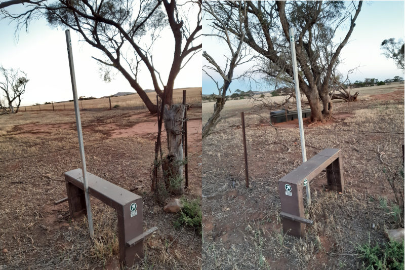 Lavender Federation Trail Stile at Neales Flat Designed by George Adams