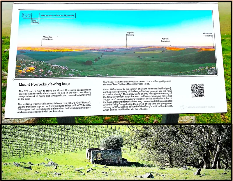 Mt Horrocks Storyboard